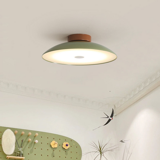 retro LED ceiling light, iron ceiling lamp, vintage aisle lighting, hallway LED ceiling light, energy efficient ceiling light, industrial style light fixture, modern retro ceiling lamp, CE certified LED light, UL listed ceiling light, bedroom aisle lighting, LED flush mount light, 220V LED ceiling light, decorative iron ceiling lamp, dry location ceiling light, vintage hallway ceiling fixture