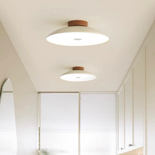 retro LED ceiling light, iron ceiling lamp, vintage aisle lighting, hallway LED ceiling light, energy efficient ceiling light, industrial style light fixture, modern retro ceiling lamp, CE certified LED light, UL listed ceiling light, bedroom aisle lighting, LED flush mount light, 220V LED ceiling light, decorative iron ceiling lamp, dry location ceiling light, vintage hallway ceiling fixture